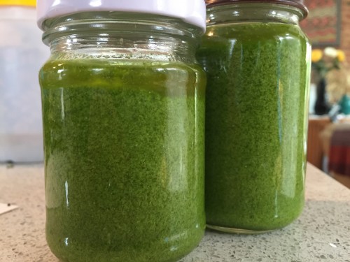 Great colour in the finished pesto. Keep it fresh with a layer of oil on top.